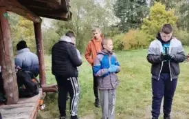 drzewa15