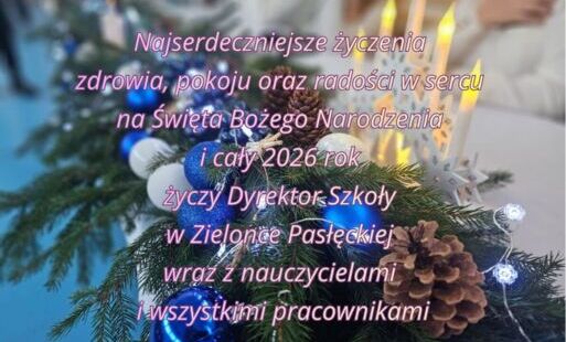 Zdjęcie do Wesołych Świąt i szczęśliwego Nowego Roku!
