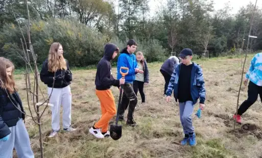 Zdjęcie do Sadzenie drzew miododajnych