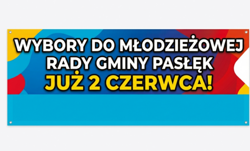 Zdjęcie do Wybory do Młodzieżowej Rady Gminy Pasłęk